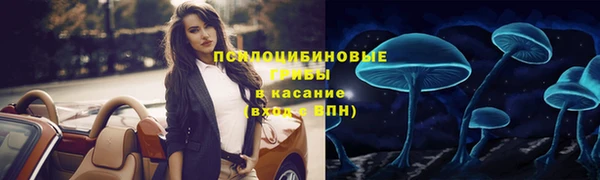 ешки Вязники