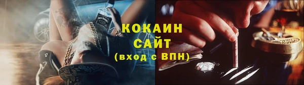 ГАЛЛЮЦИНОГЕННЫЕ ГРИБЫ Горняк