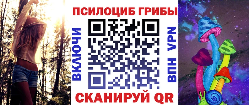 как найти наркотики  Старый Оскол  KRAKEN ТОР  Псилоцибиновые грибы Psilocybine cubensis 